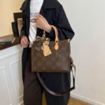 Saianna high-end designer fashion women's bag versatile travel tote bag - Image 6